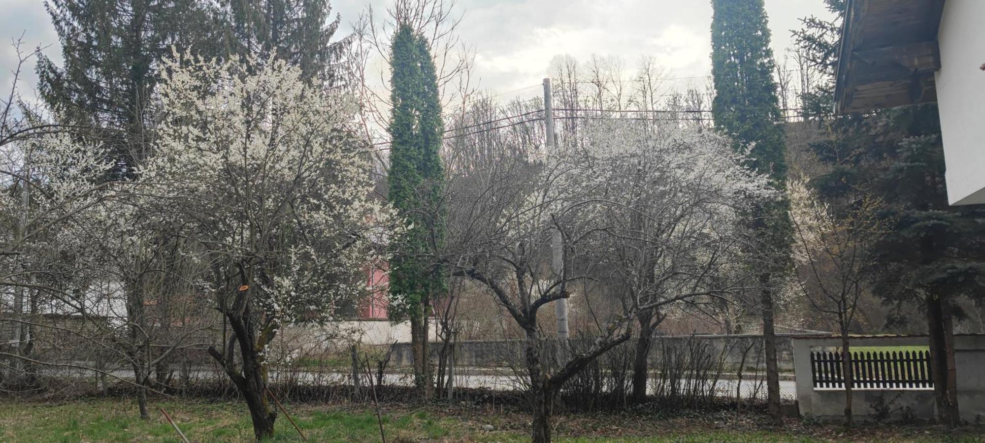 Хан Костина - Han Kostina Ribarica Bagian luar foto